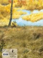 Арктур - гончий пёс. Рис. Н. Устинова