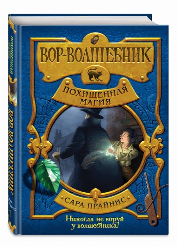 Вор-волшебник. Похищенная магия (#1)