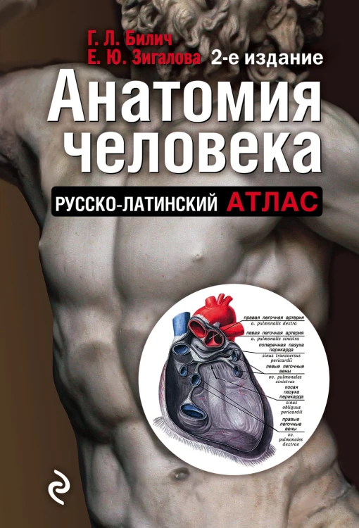Анатомия человека: Русско-латинский атлас. 2-е издание