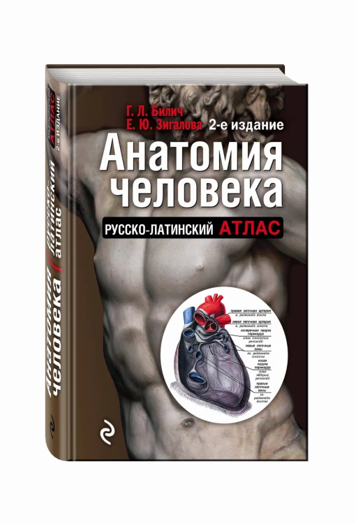 Анатомия человека: Русско-латинский атлас. 2-е издание