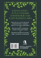Большая книга Зеленой магии. Все о травах, камнях, амулетах и ритуалах