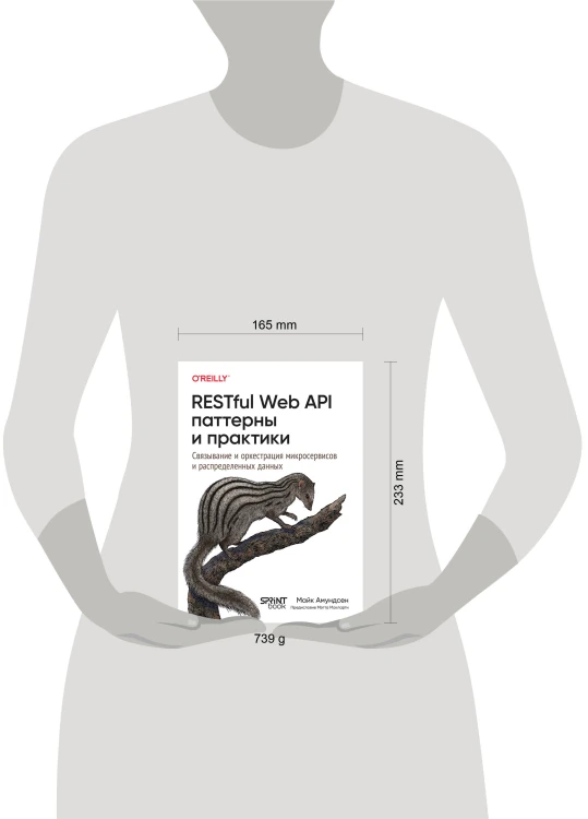 RESTful Web API паттерны и практики