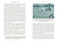 Древнееврейские мифы. От Левиафана и богини Ашеры до разбитых скрижалей и Иова