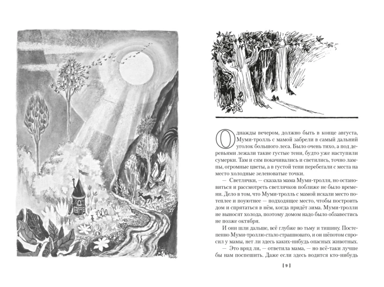Шляпа Волшебника. Муми-тролли и все-все-все. Книга 12.jpg