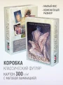 5.webp