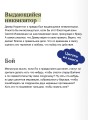 Совершенные. Тайны Пантеона