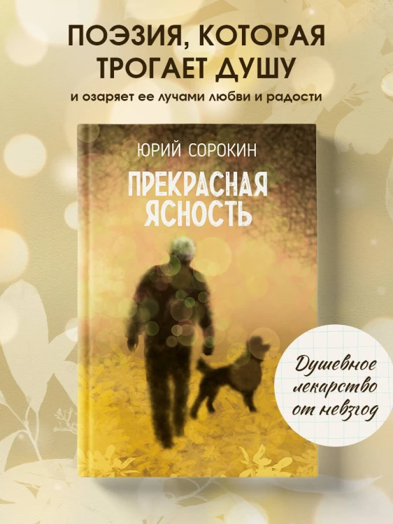 Прекрасная ясность