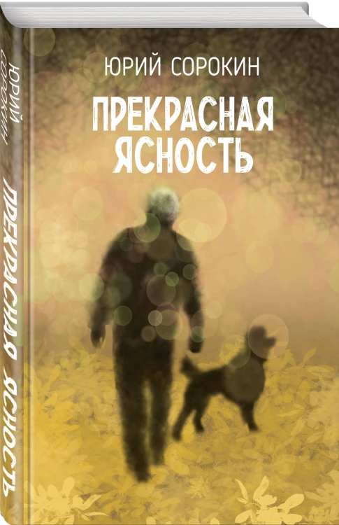 Прекрасная ясность