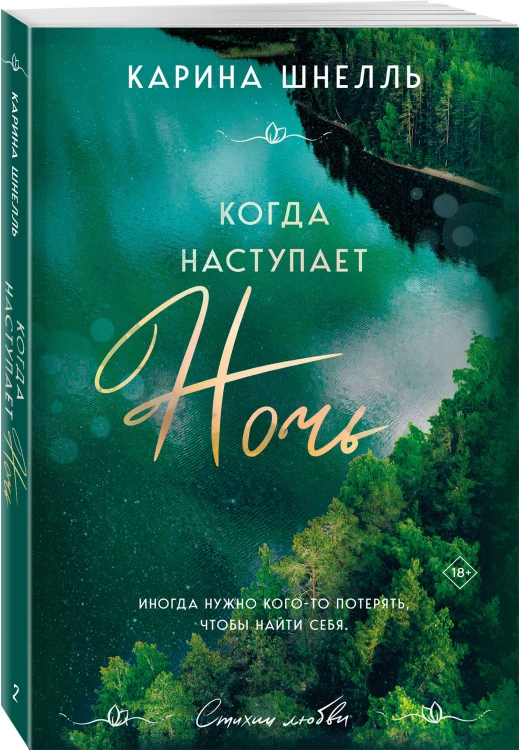 Когда наступает ночь