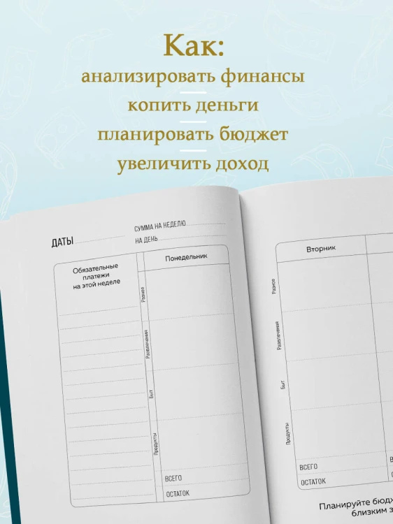 Деньги - брызги. Планировщик бюджета