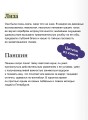 Дворянское гнездо. Вечные истории. Young Adult