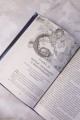 Черное Солнце. За что наказывают учеников
