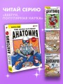 Еще более наглядная анатомия