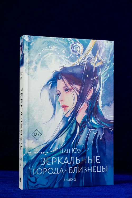 Зеркальные города-близнецы. Книга 2
