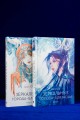 Зеркальные города-близнецы. Книга 2