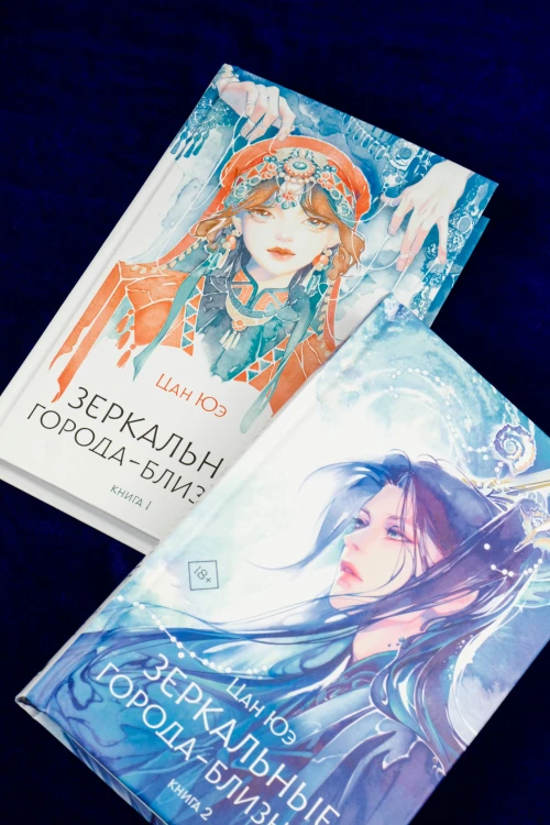 Зеркальные города-близнецы. Книга 2