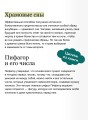 История гаданий и предсказаний. От ворожей и подблюдных песен до астрологии и карт Таро