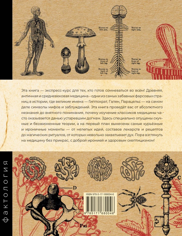 Основы медицины, о которых пора забыть