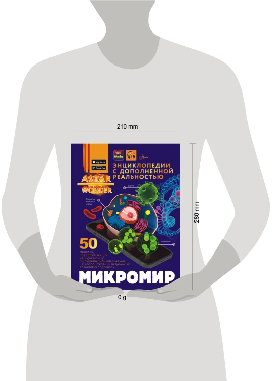 Микромир