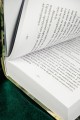 Стеклянная душа красавицы. Книга 2