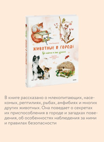 Животные в городе. Где найти и как узнать