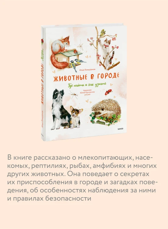 Животные в городе. Где найти и как узнать