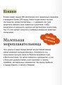 Животные в городе. Где найти и как узнать