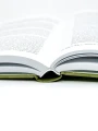 3.webp