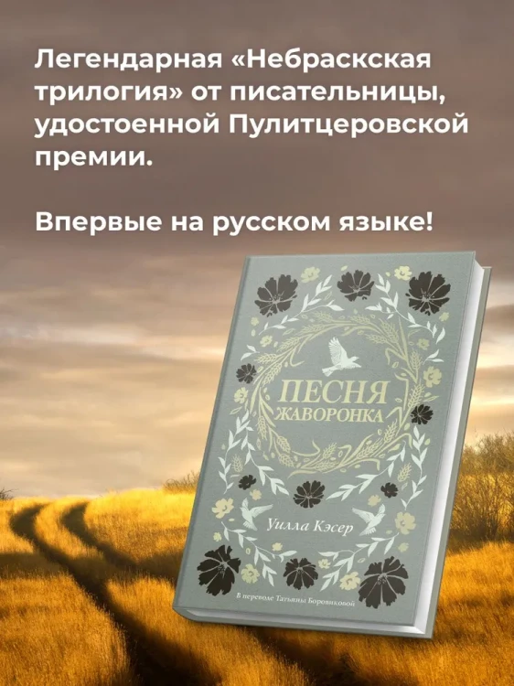 2.webp