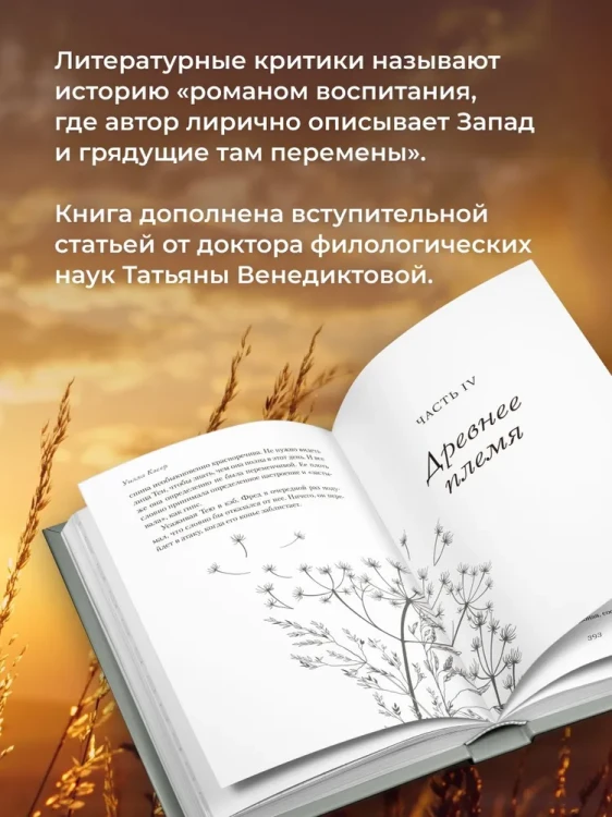 3.webp