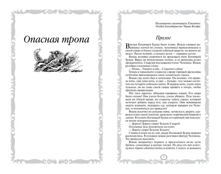 Коты-воители.2.webp