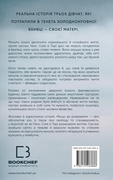 3.webp