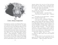 Пара из кошмара и Дом Обмана (#1)
