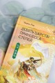 Девять царств: Принцесса степей