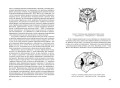 Коррекция речи у дошкольников. Логопедия: дошкольное детство