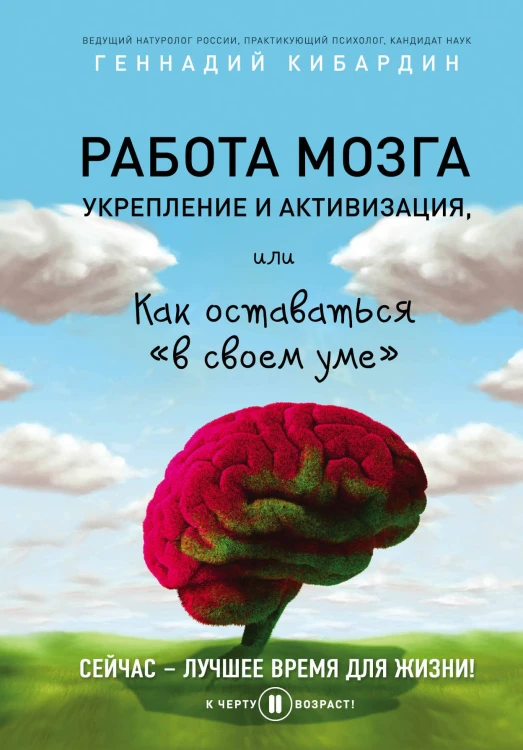 Работа мозга: укрепление и активизация