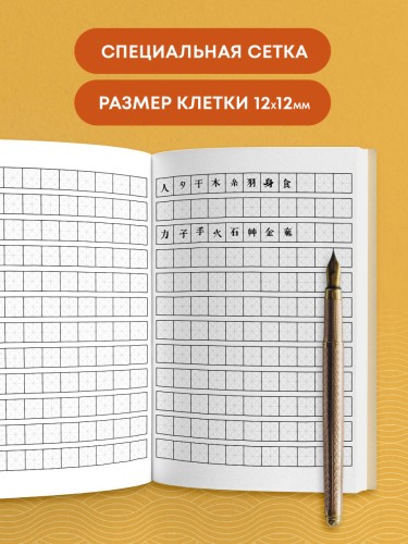 Тетрадь для иероглифов (рыжий котик)