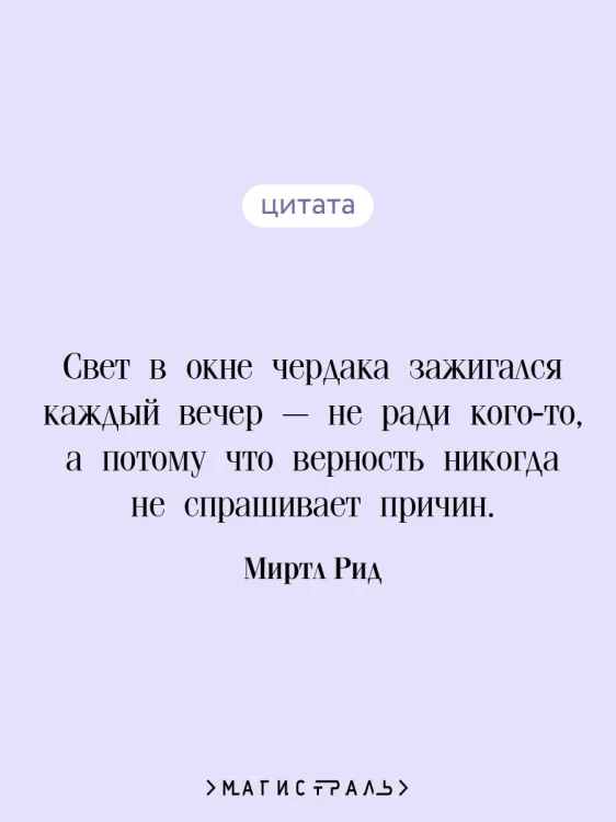 Лаванда и старинные кружева