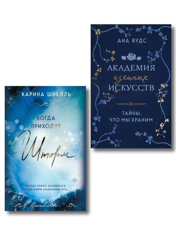 Комплект из 2-х книг (Тайны, что мы храним + Когда приходит шторм)