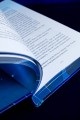 Светлый пепел луны. Книга 2 (коллекционное издание)