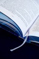 Светлый пепел луны. Книга 2 (коллекционное издание)
