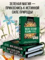 Ключ к магической силе растений, цветов и камней. Магия зеленой ведьмы