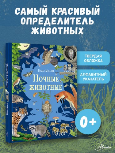 Ночные животные