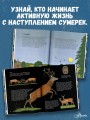 Ночные животные