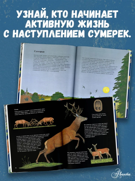 Ночные животные