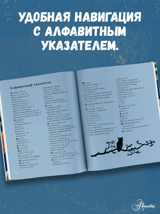 Ночные животные