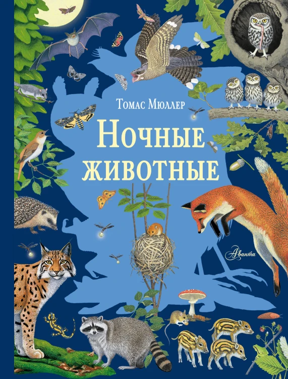 Ночные животные