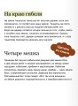 Мифы Северной Африки. От дерева Шэшра с золотыми листьями до богини Танит и египетских подменышей