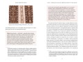 Мифы Северной Африки. От дерева Шэшра с золотыми листьями до богини Танит и египетских подменышей