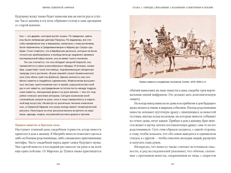 Мифы Северной Африки. От дерева Шэшра с золотыми листьями до богини Танит и египетских подменышей